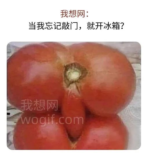 當(dāng)我開冰箱，忘記敲門，倆西紅柿干起來了...