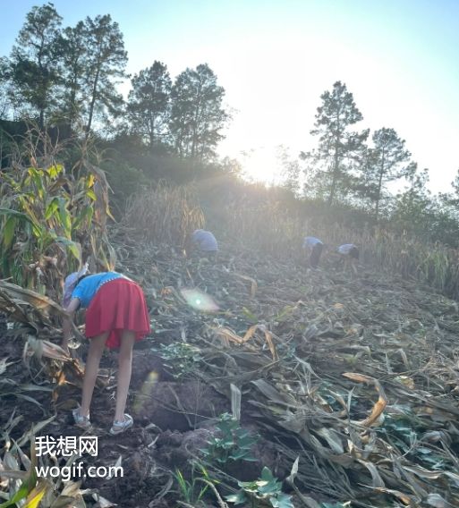 農民“拆瓦房，搬樓房”不好嗎？ 我給你算筆賬！